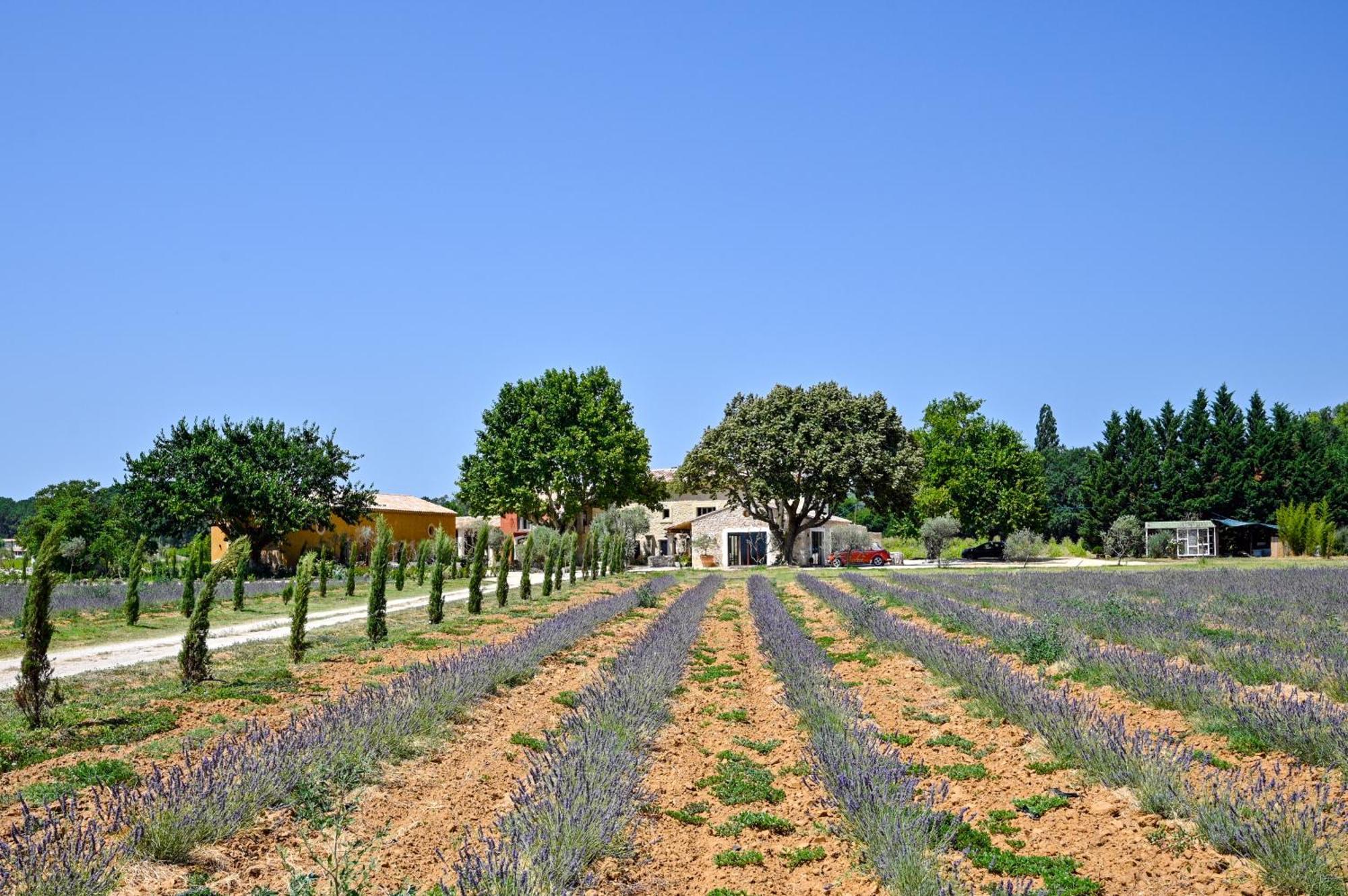Domaine D'Egenia Villa รูสซียง ภายนอก รูปภาพ