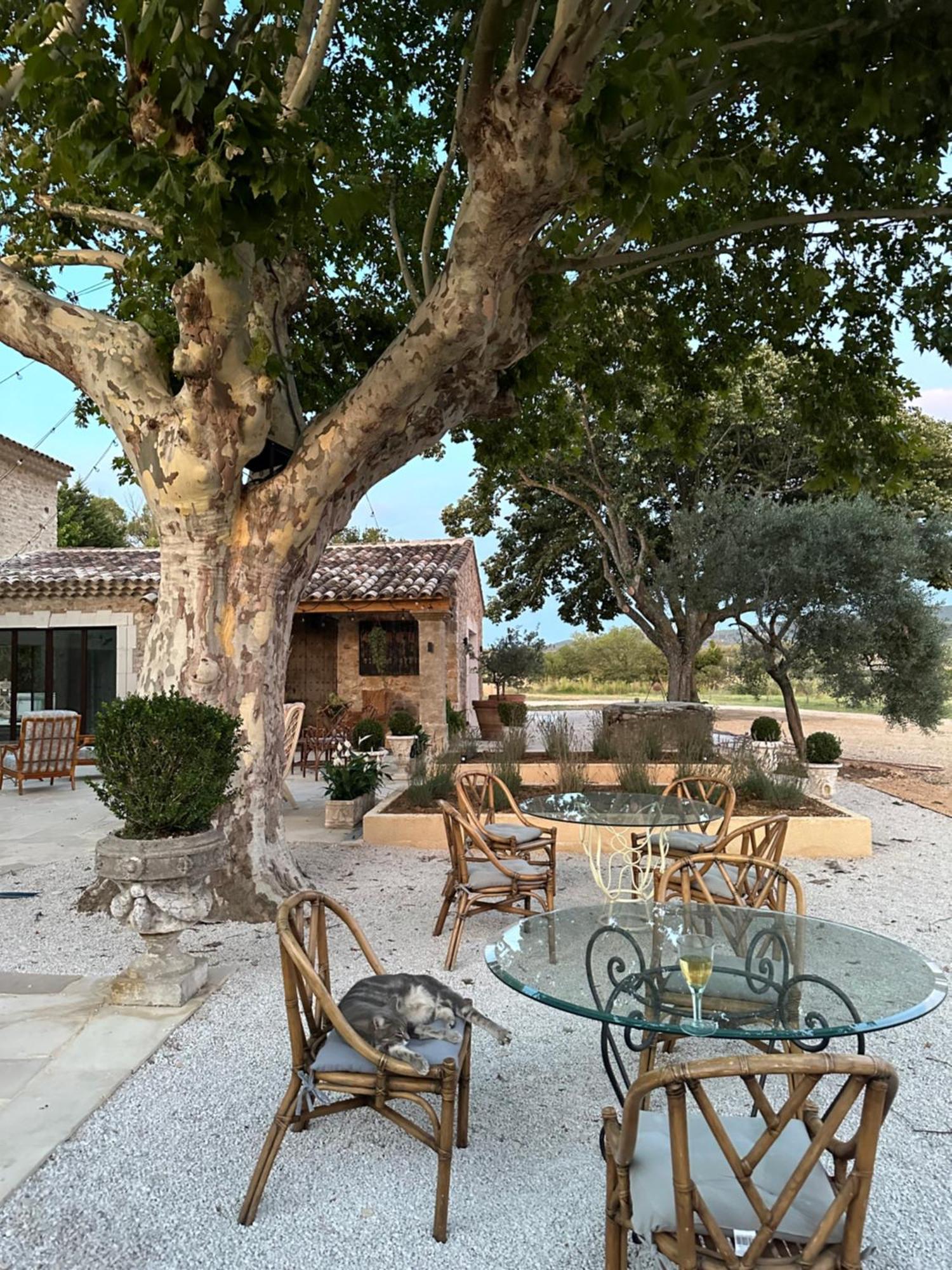 Domaine D'Egenia Villa รูสซียง ภายนอก รูปภาพ